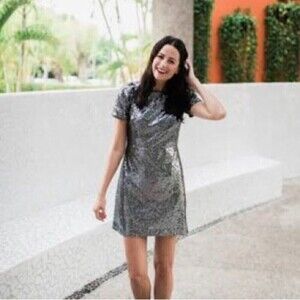 Metallic Ann Taylor Silver Sequined Party Dress Size 8 New